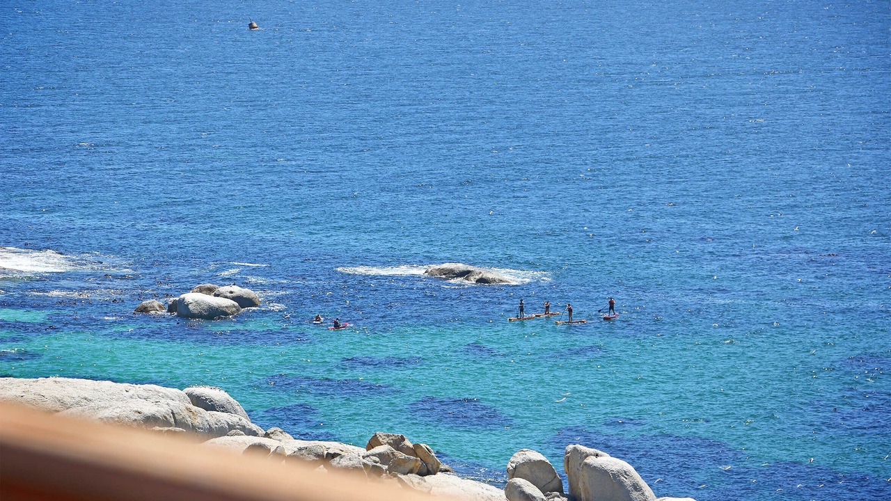 Photo of Others in Simon's Town