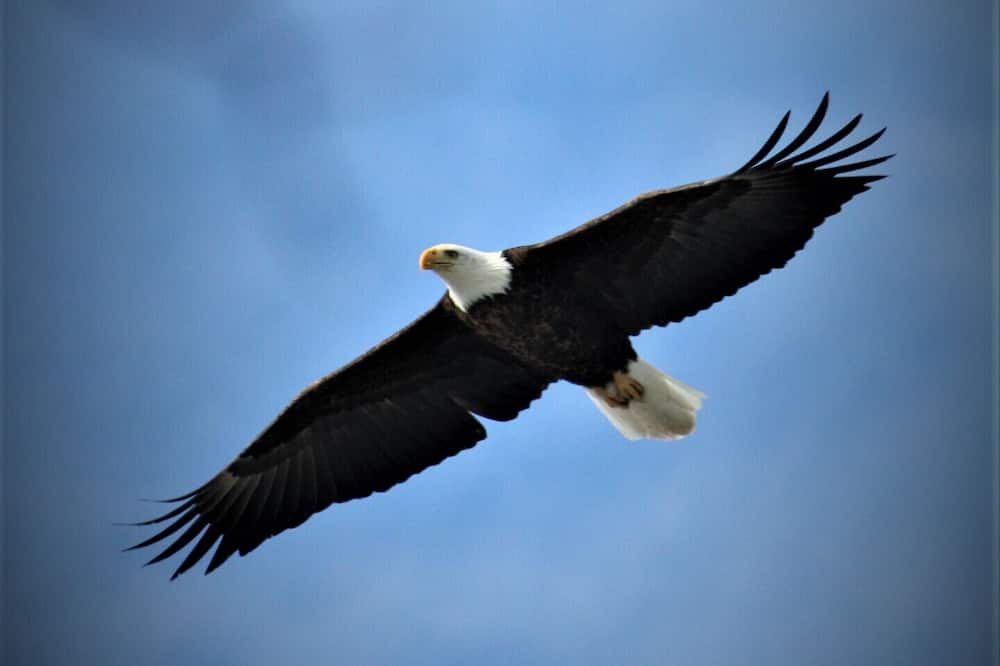 Photo of Others in Squaw Lake