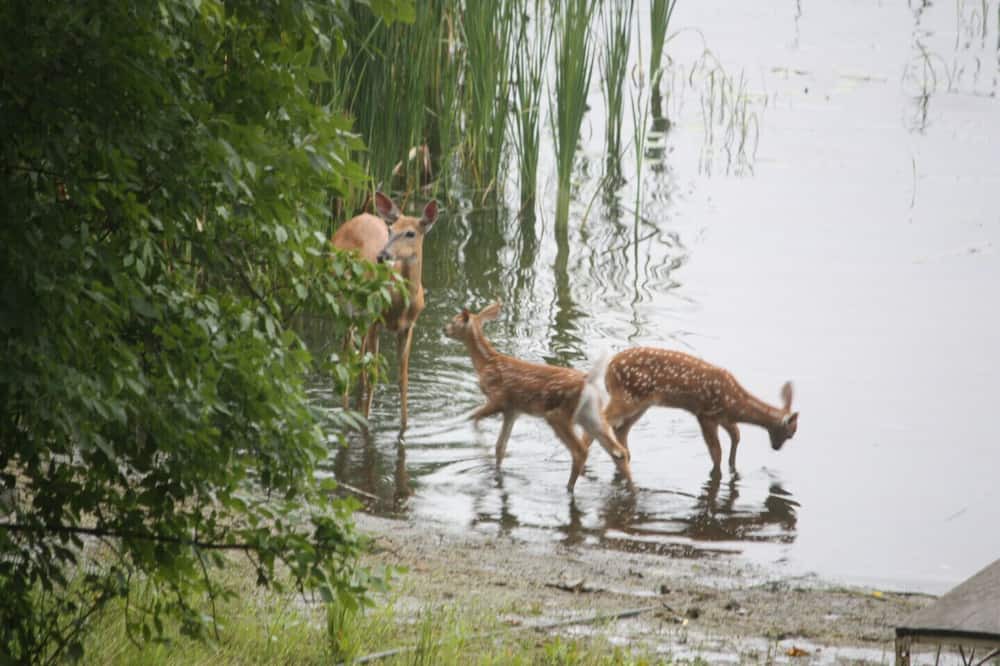 Photo of Others in Squaw Lake