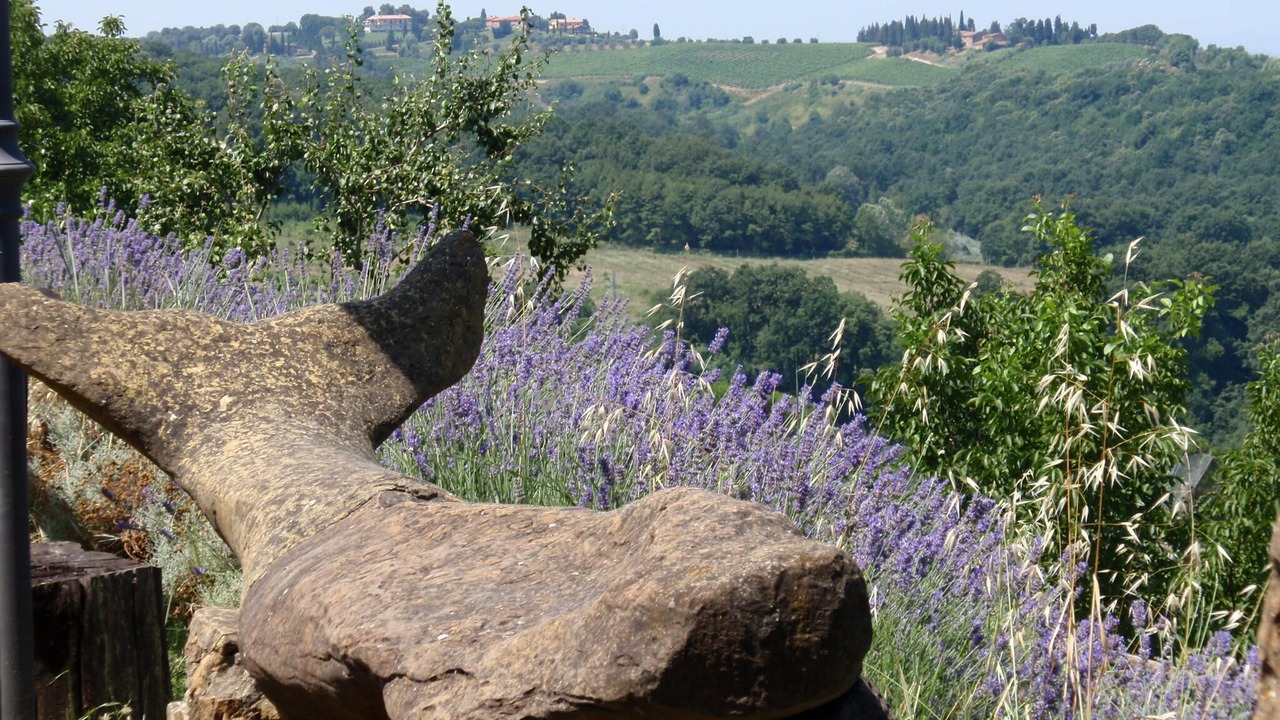 Photo of Outdoor in Montaione