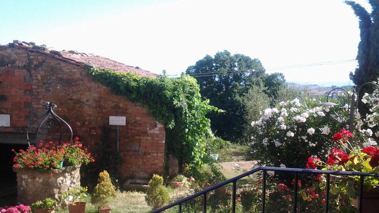 Photo of Outdoor in Montaione
