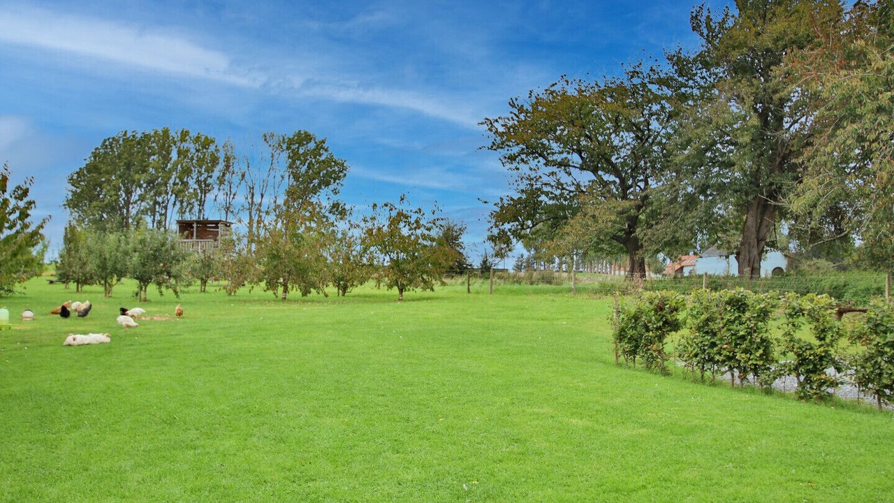 Photo of Others in Sauveniere