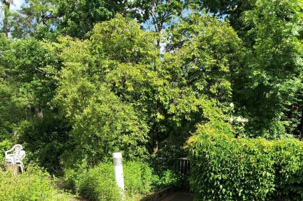 Photo of Outdoor in Linden-Sud