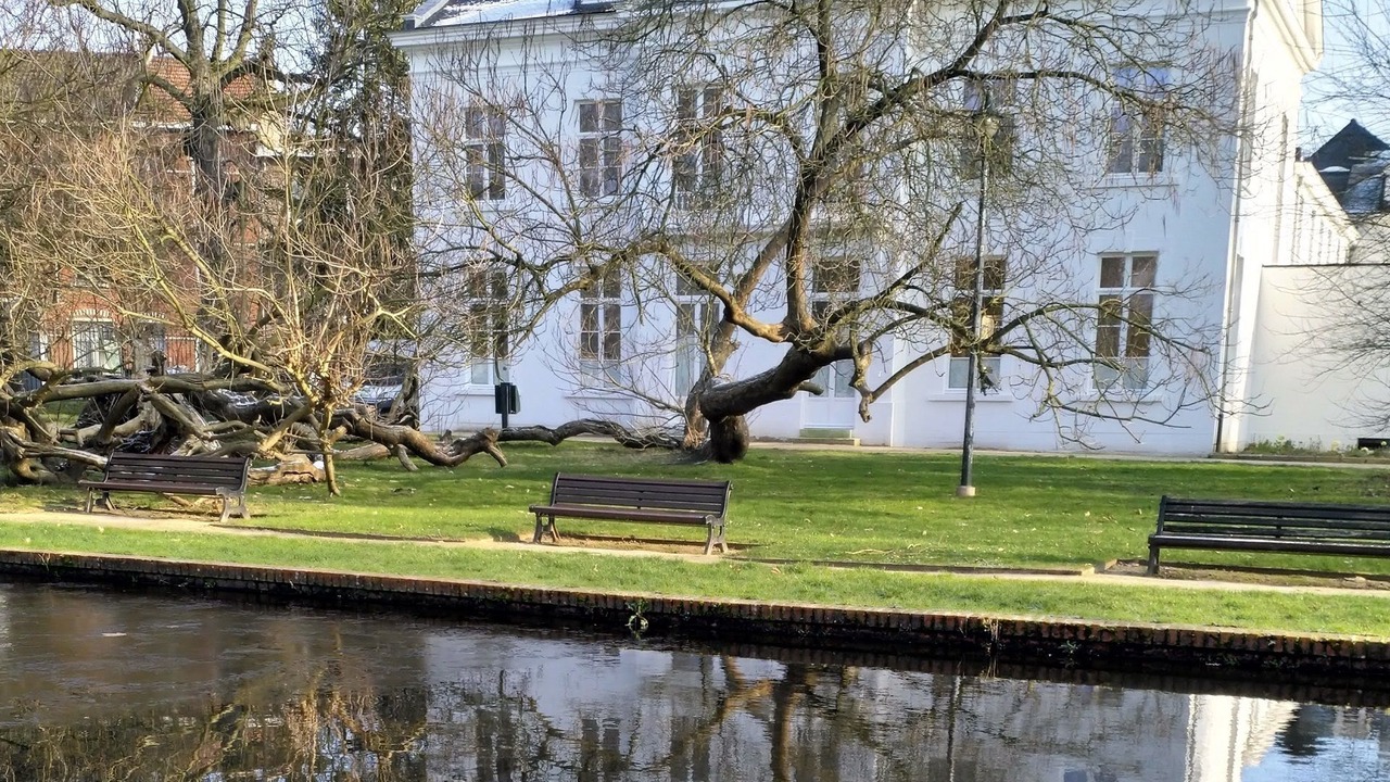Photo of Outdoor in Tienen