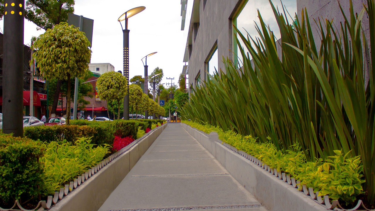 Photo of Outdoor in Benito Juarez