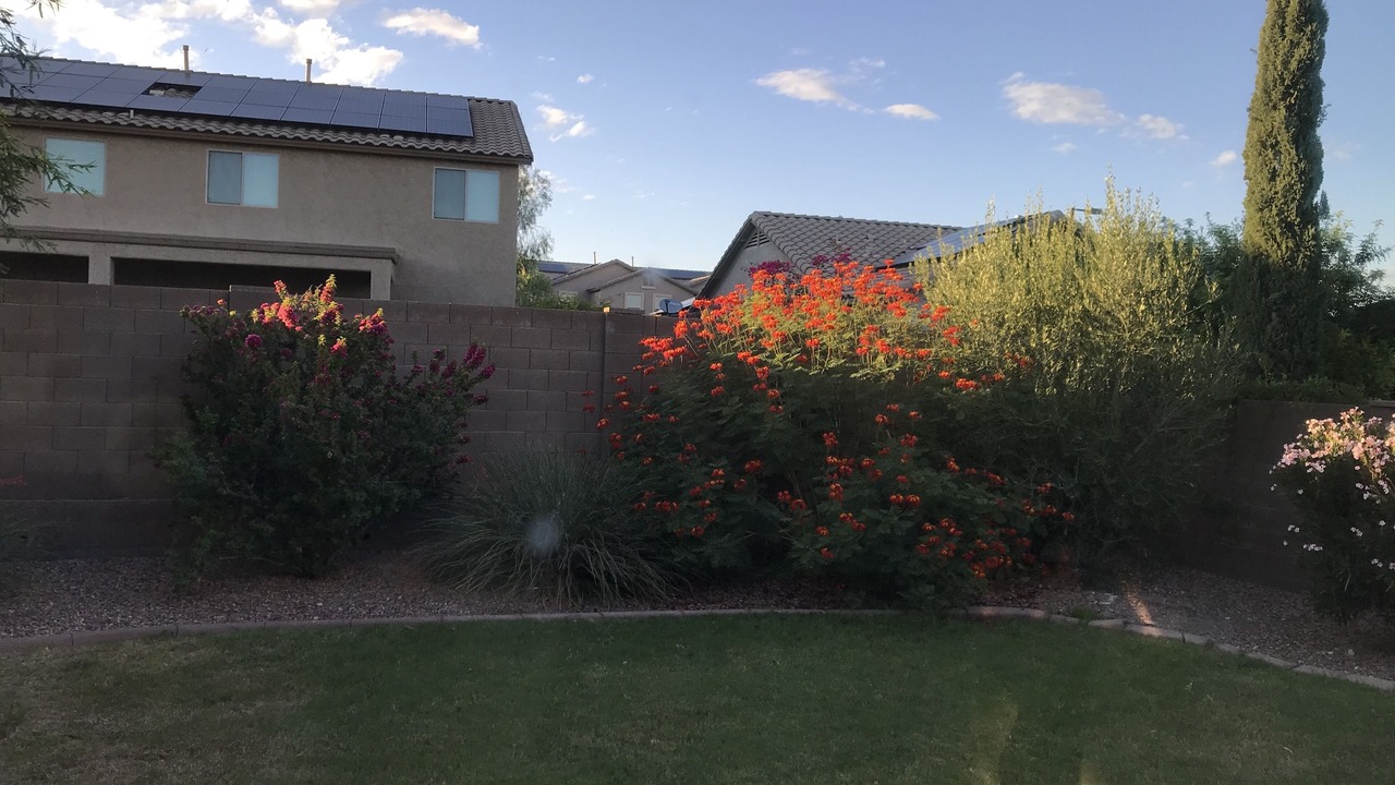 Photo of Outdoor in Anthem at Merrill Ranch