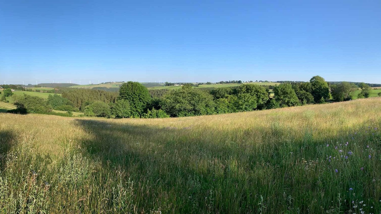Photo of Outdoor in Hollerath