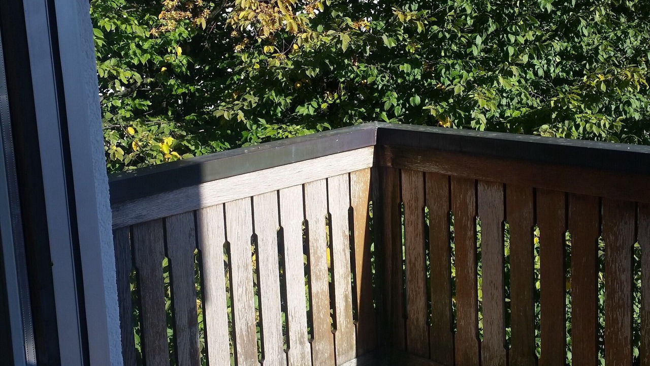 Photo of Outdoor in Hirslanden