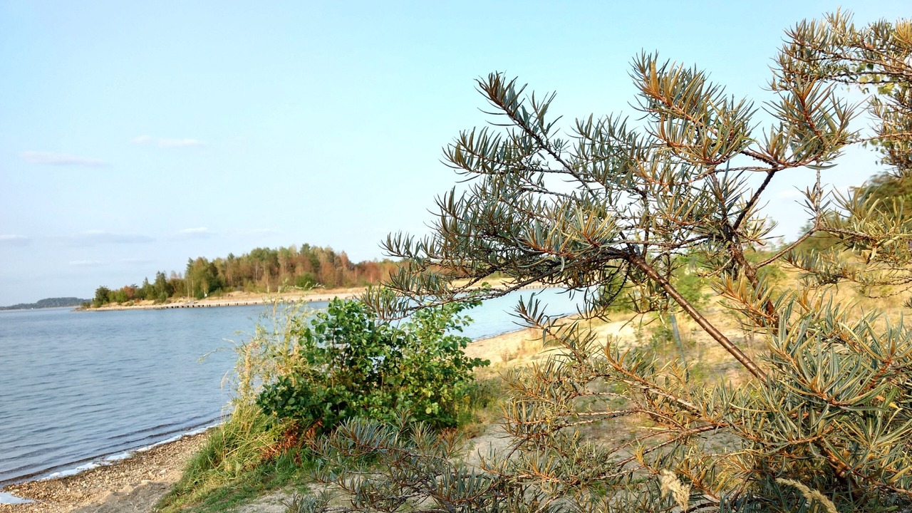 Photo of Outdoor in Tauchritz
