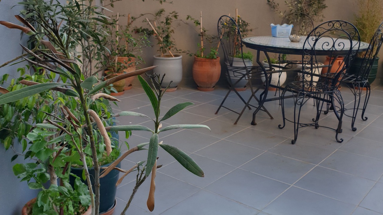 Photo of Patio Balcony in Medina of Tangier