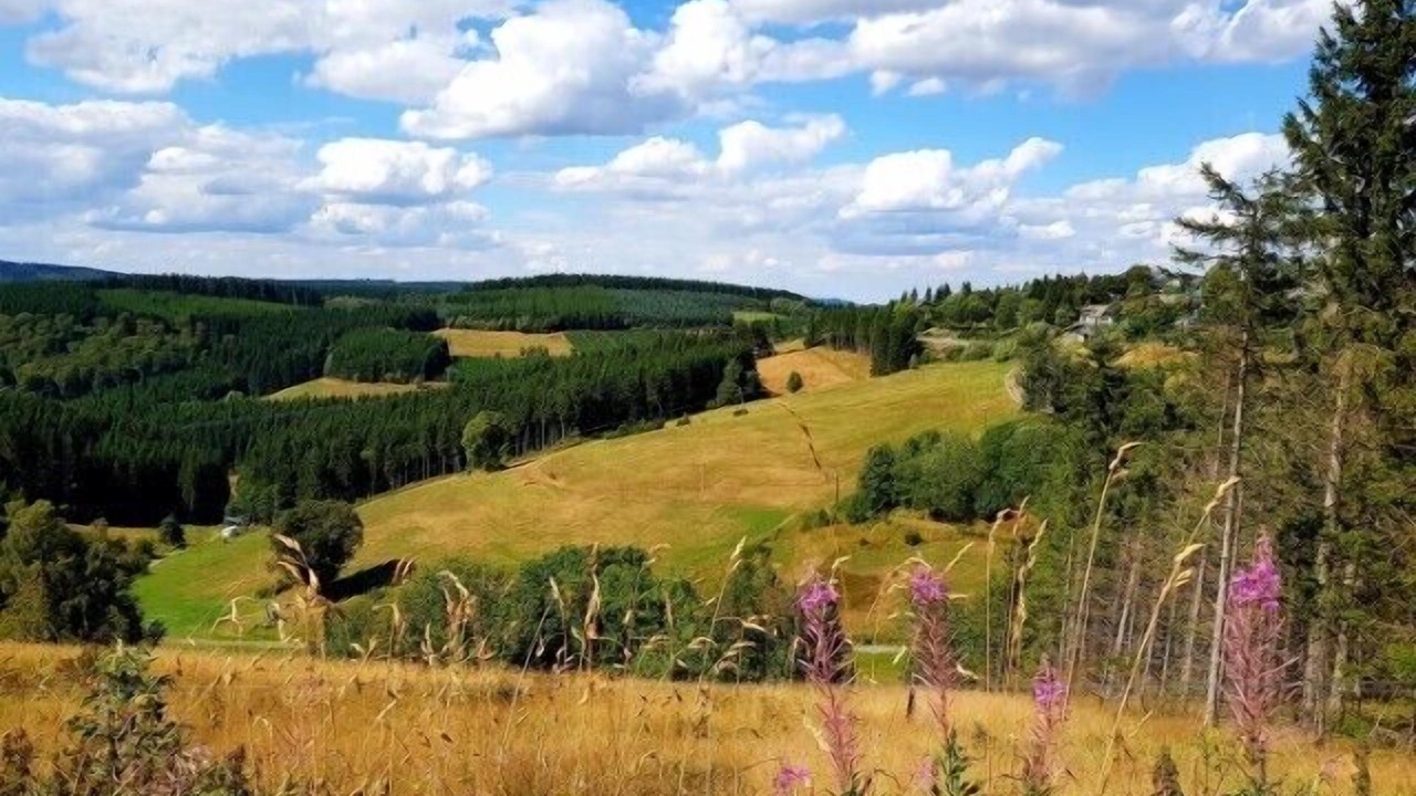 Photo of Others in Altastenberg