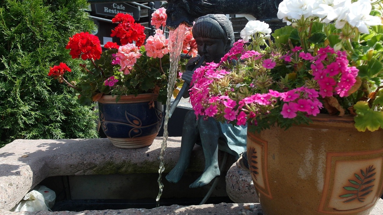 Photo of Outdoor in Altastenberg