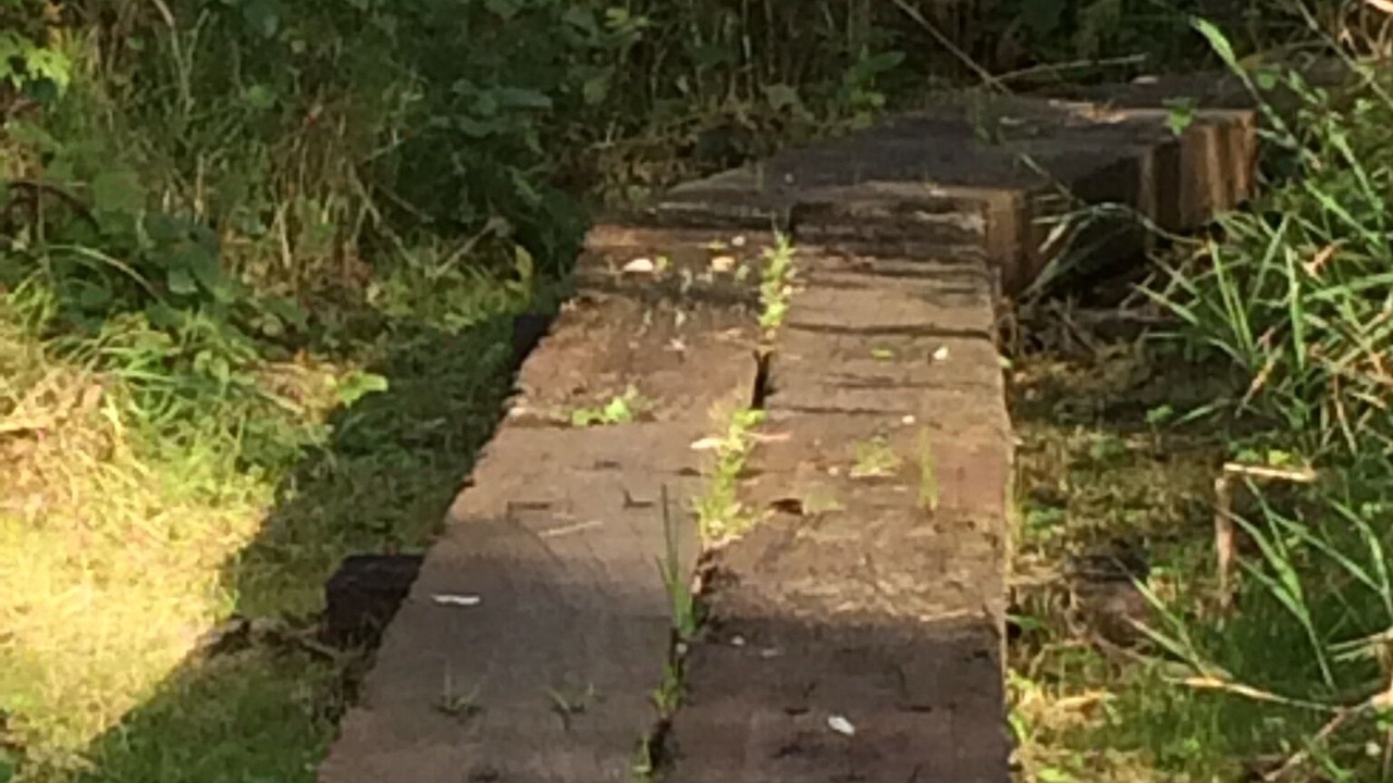 Photo of Outdoor in Pont-a-Celles