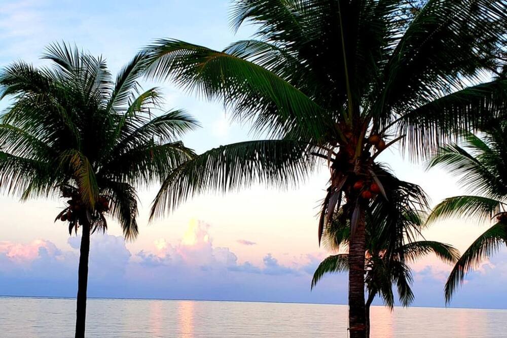 Photo of Others in Palmetto Bay