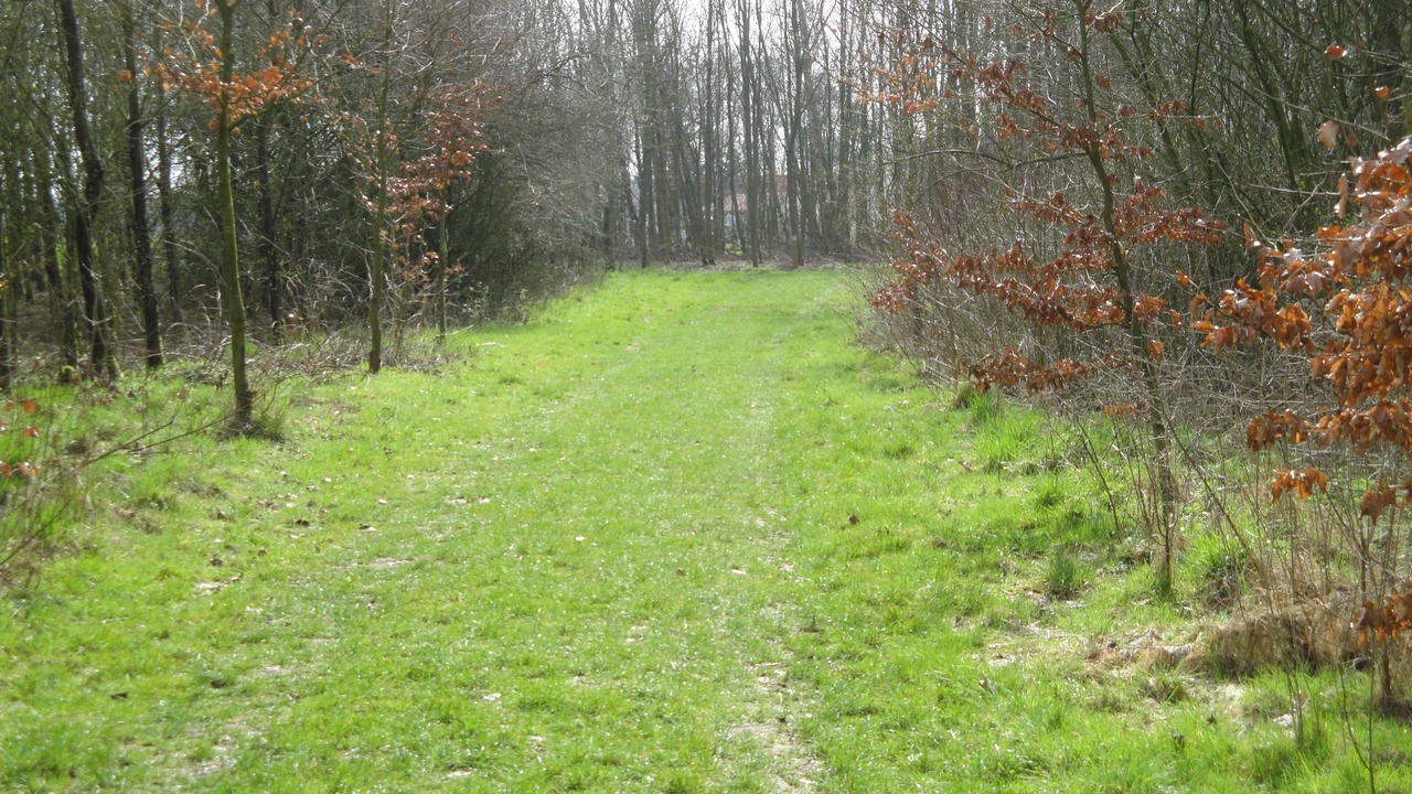 Photo of Outdoor in Wakken