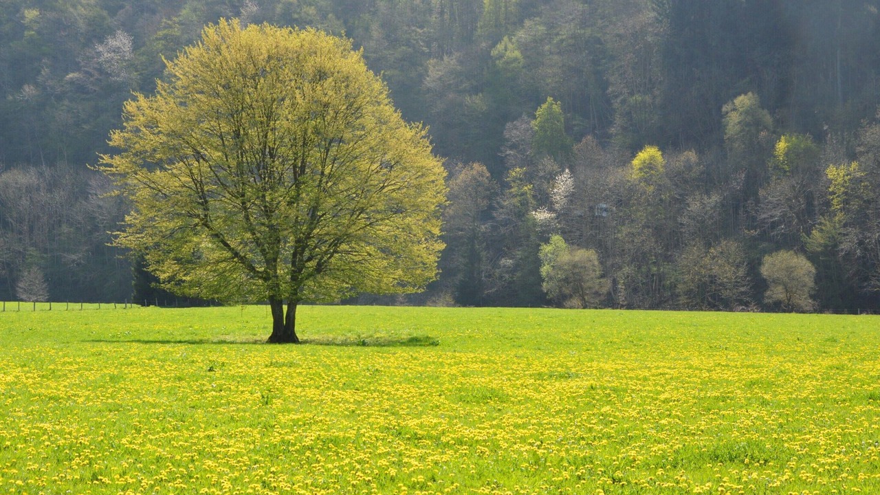 Photo of Outdoor in Tavigny