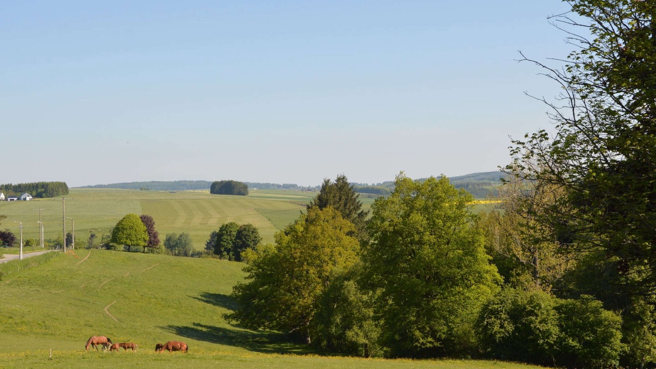 Photo of Outdoor in Tavigny