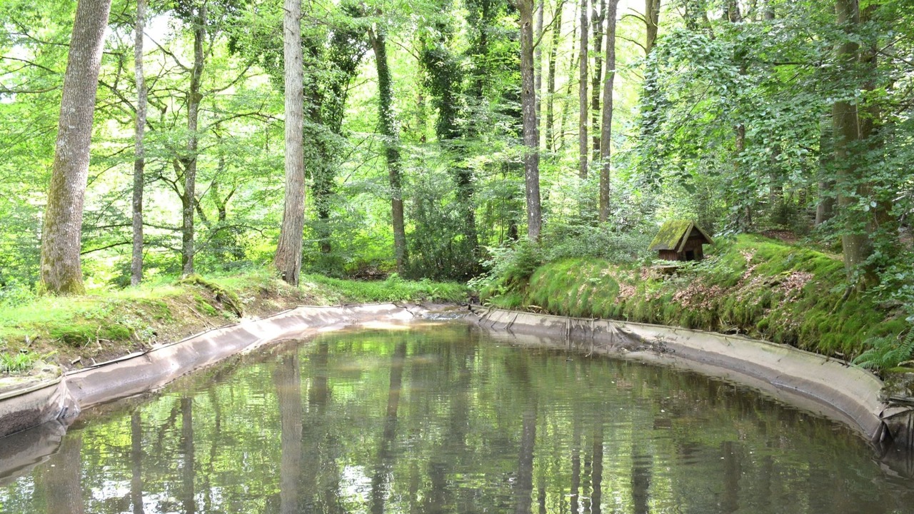 Photo of Outdoor in Harre