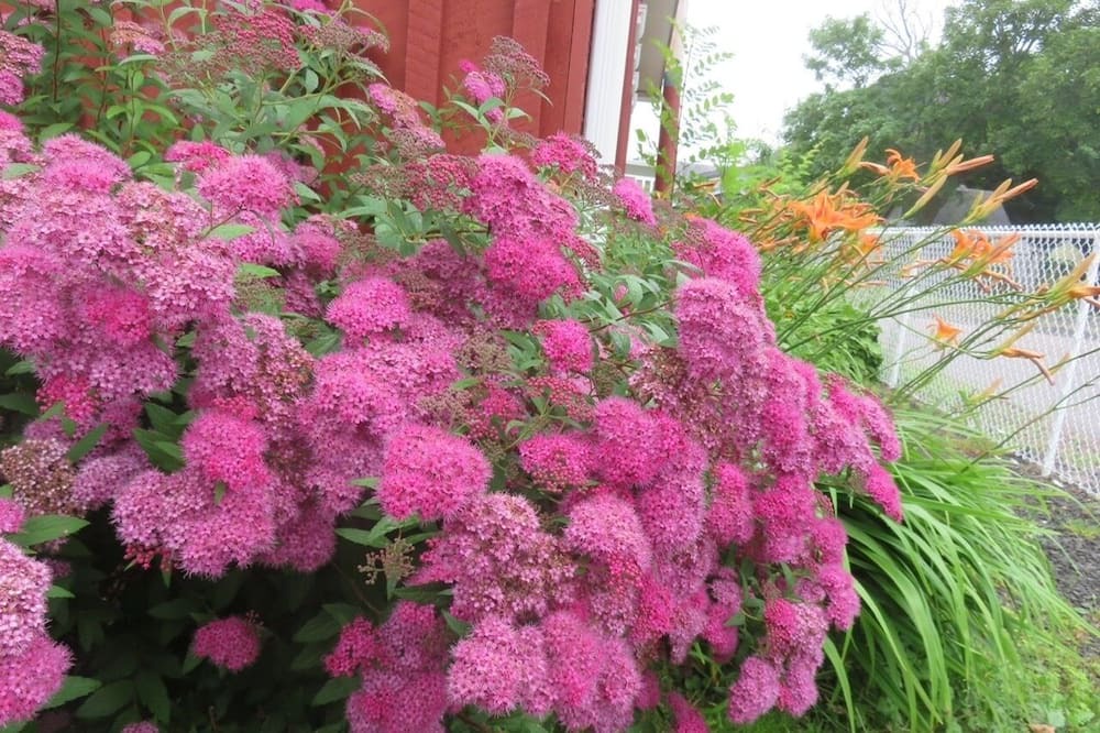 Photo of Outdoor in Annapolis Royal