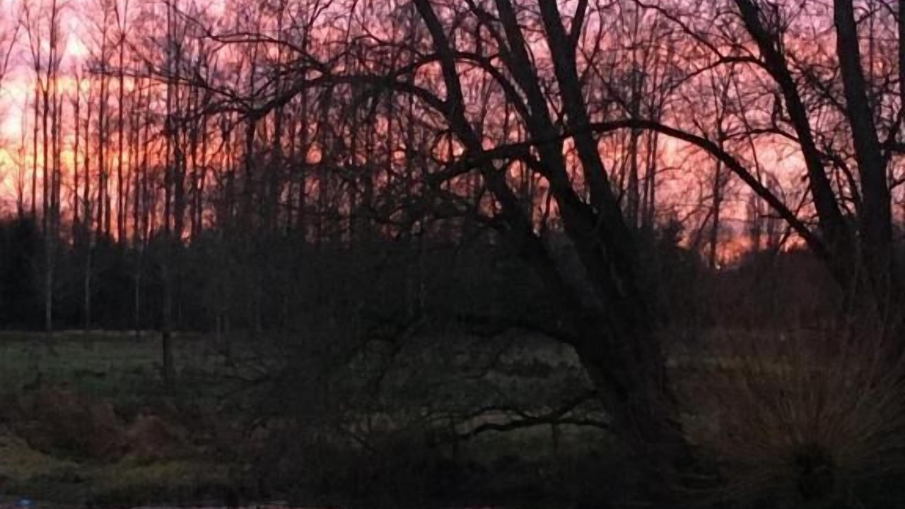 Photo of Outdoor in Tongeren