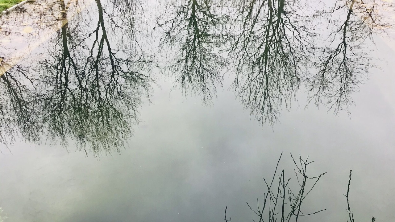 Photo of Outdoor in Ronse