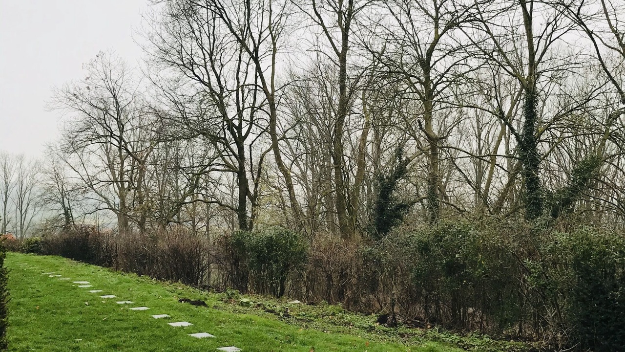 Photo of Outdoor in Ronse