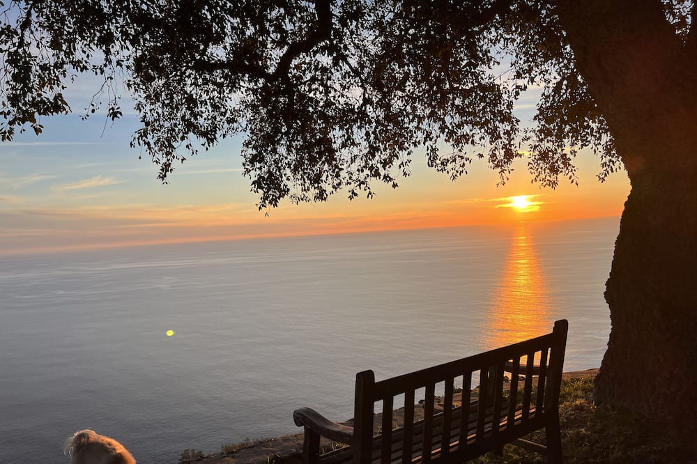 Photo of Others in Big Sur