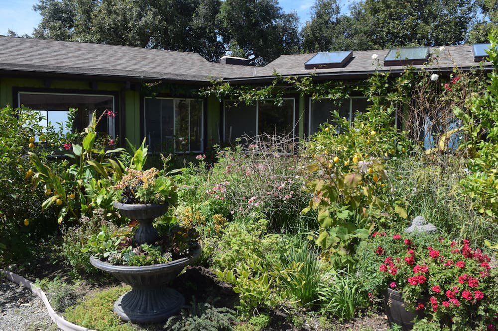 Photo of Outdoor in Big Sur