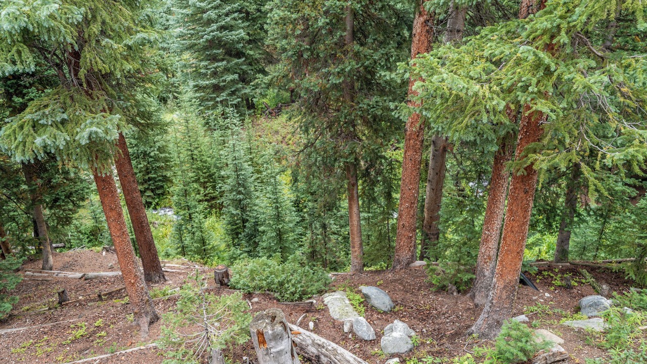 Photo of Outdoor in Valley of the Blue