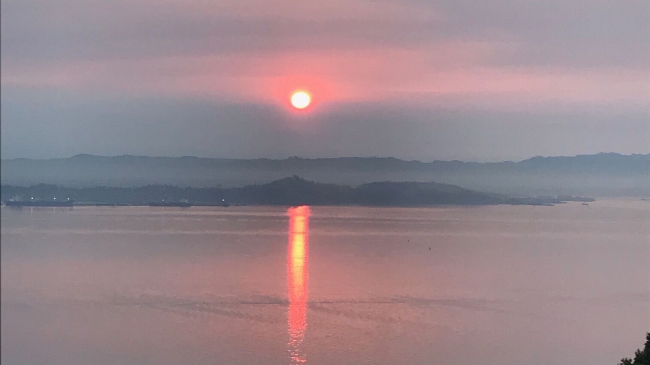 Photo of Others in Tiburon