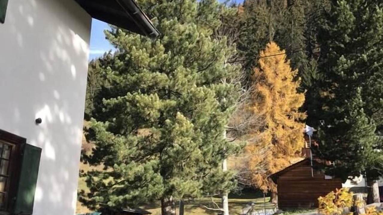Photo of Outdoor in Berguen