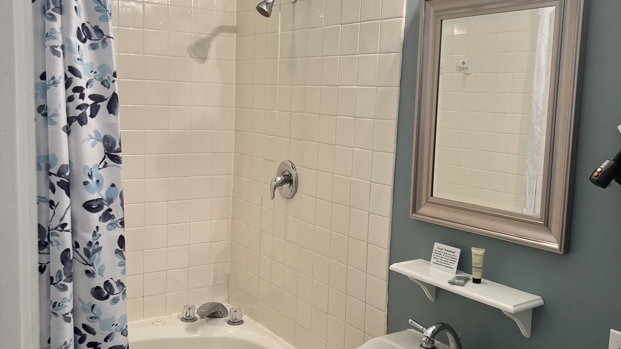 Photo of Bathroom in Charleston Historic District