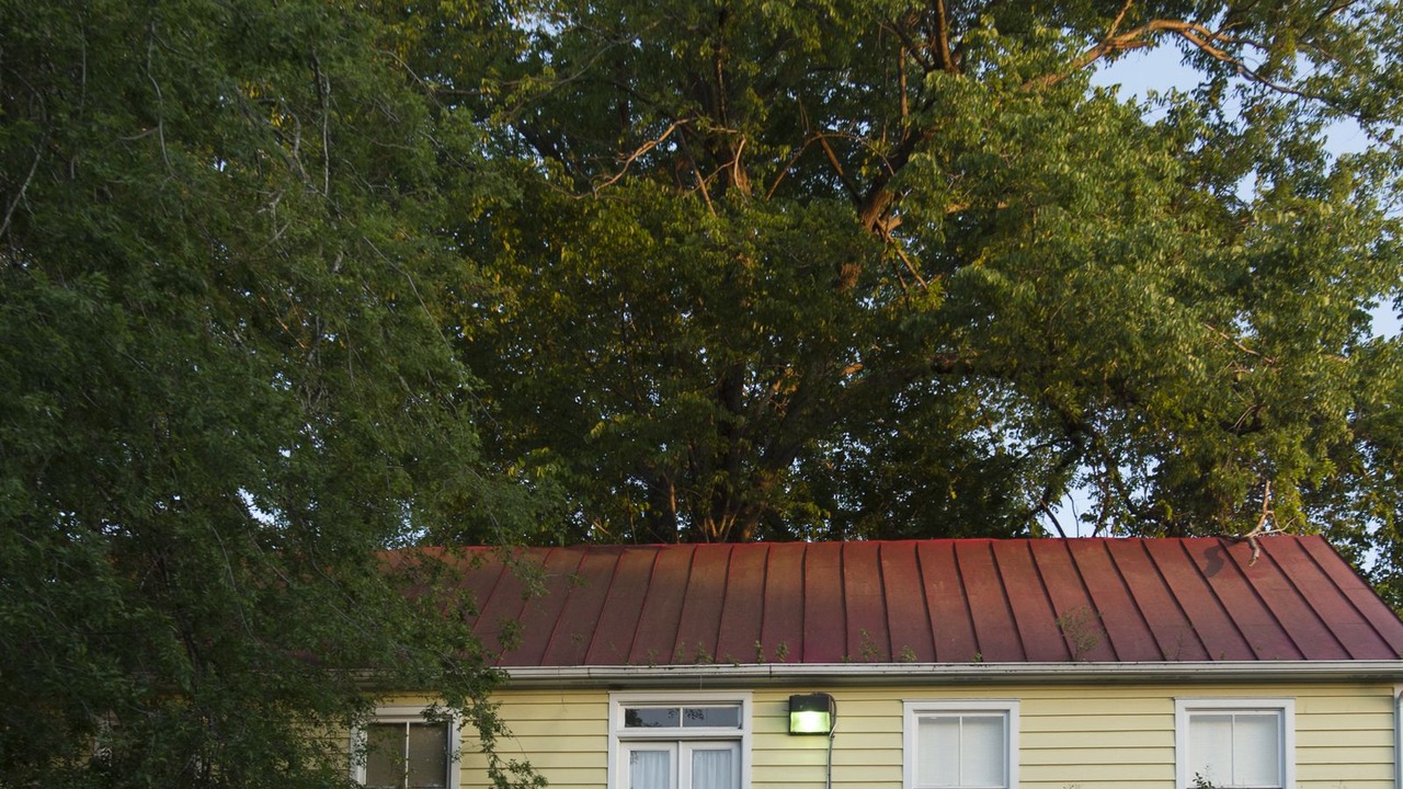Photo of Outdoor in Charleston Historic District