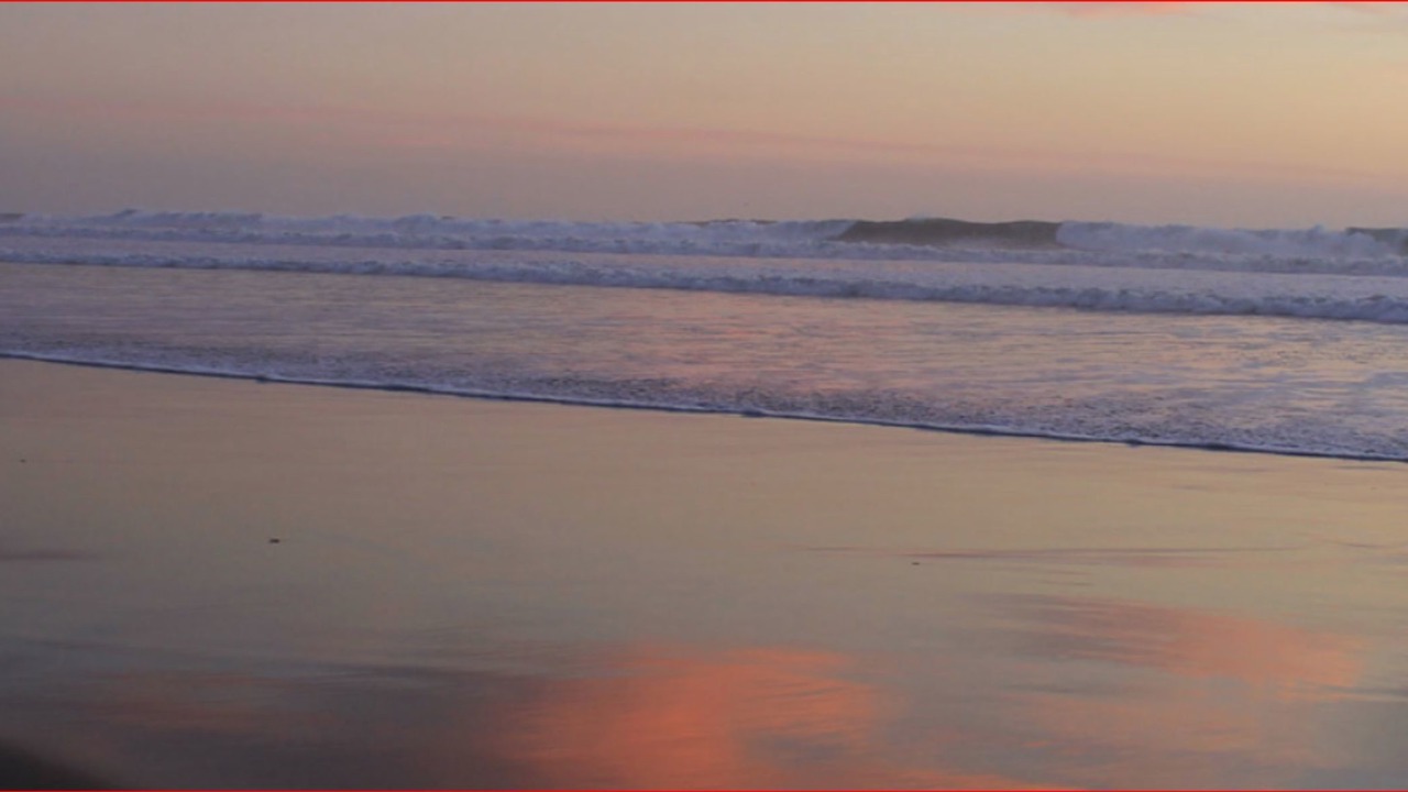 Photo of Others in West Newport