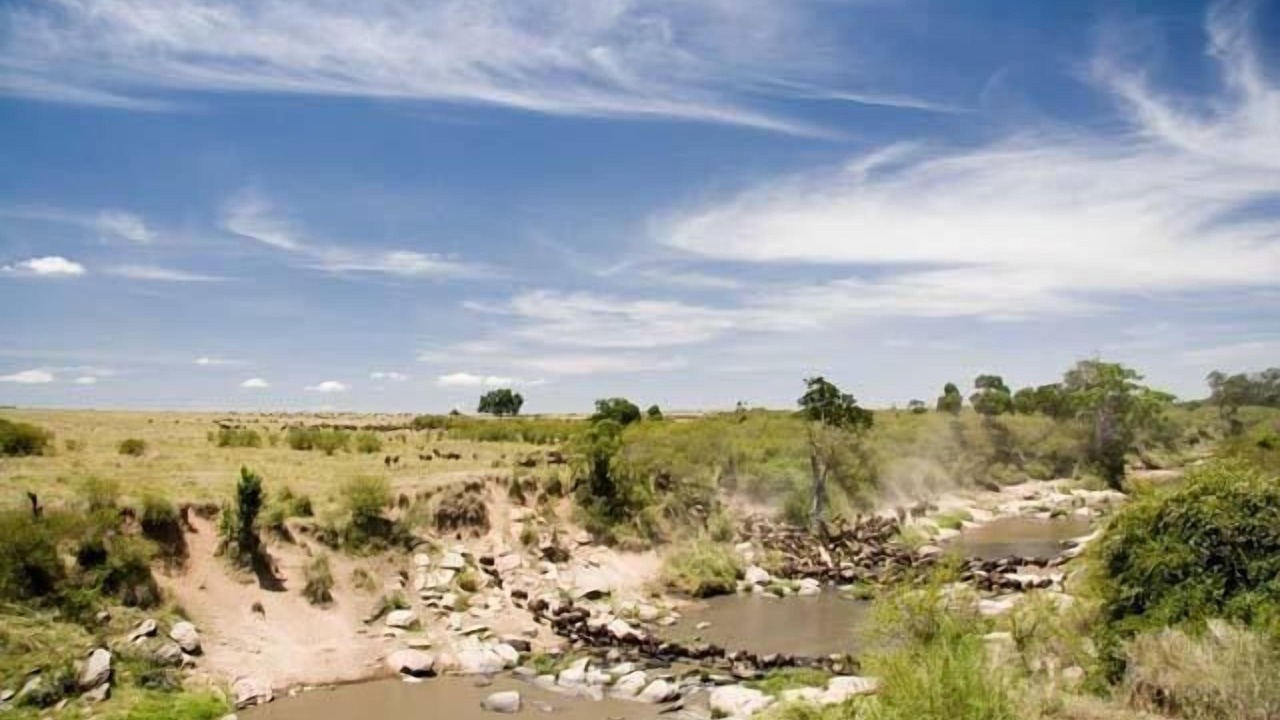 Photo of Others in Mara North Conservancy
