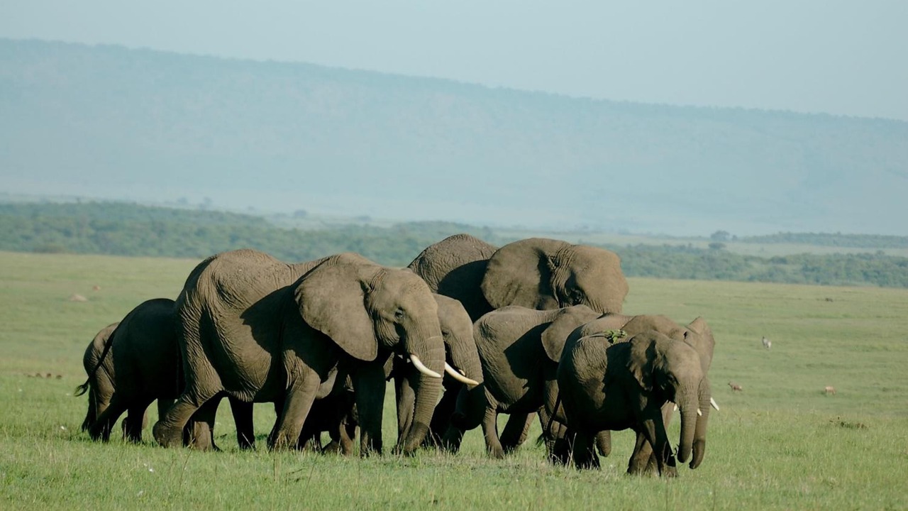 Photo of Outdoor in Mara North Conservancy