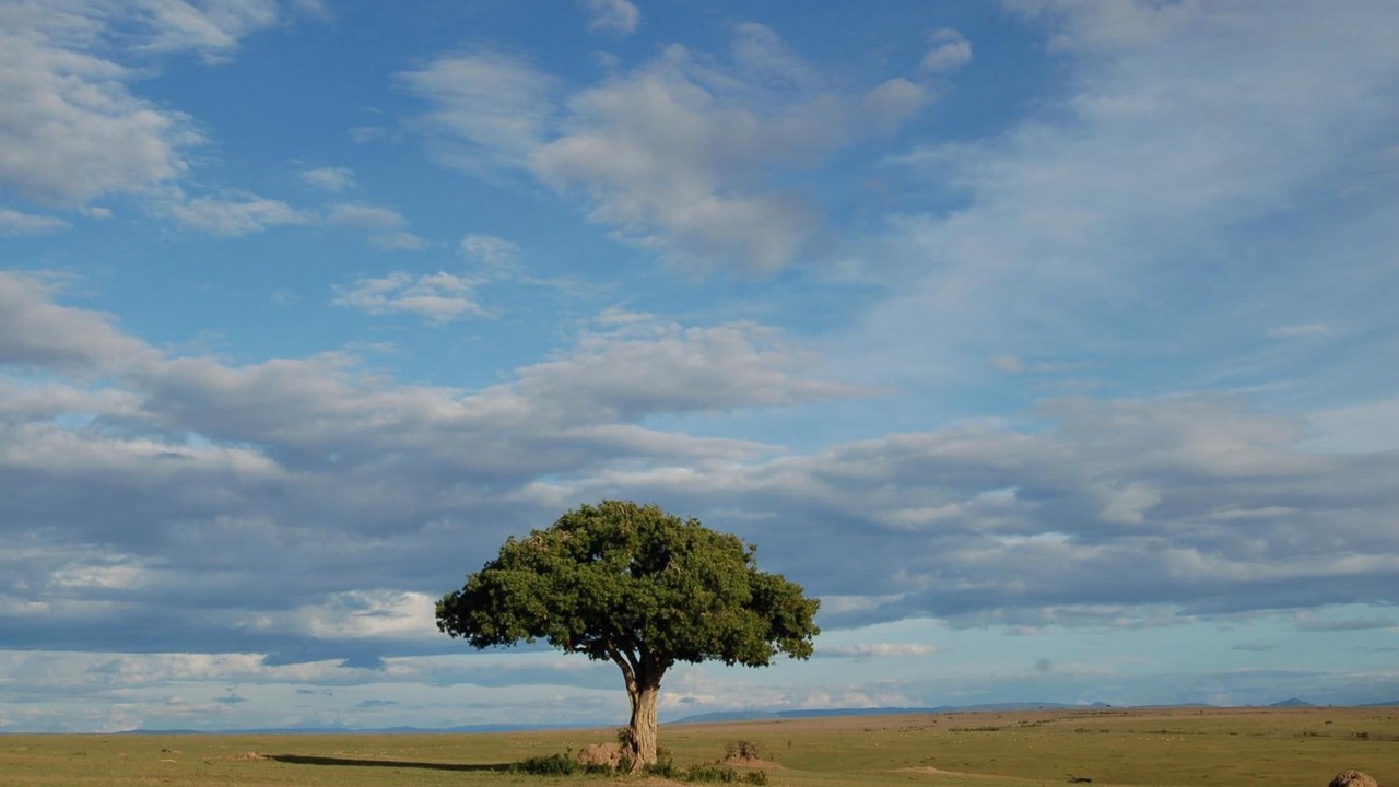 Photo of Others in Mara North Conservancy