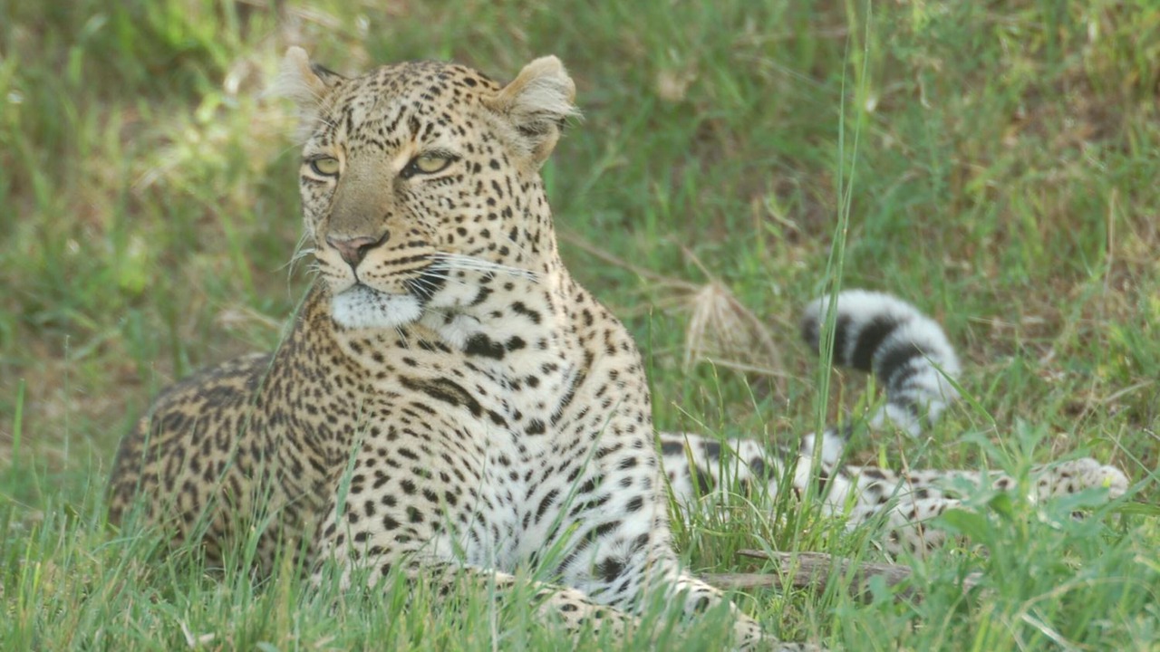 Photo of Outdoor in Mara North Conservancy
