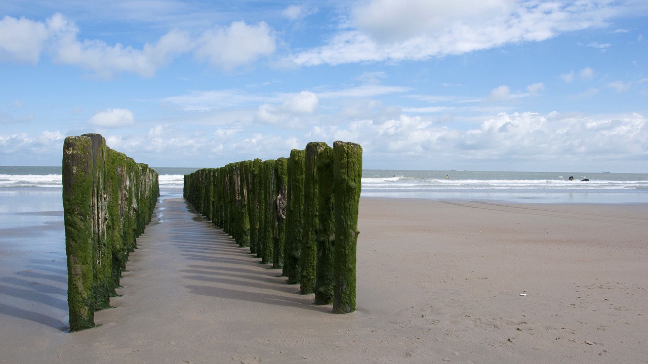 Photo of Others in Het Zoute