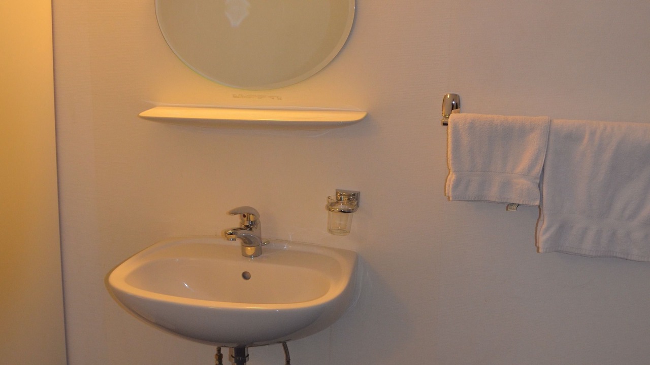 Photo of Bathroom in Schwyz