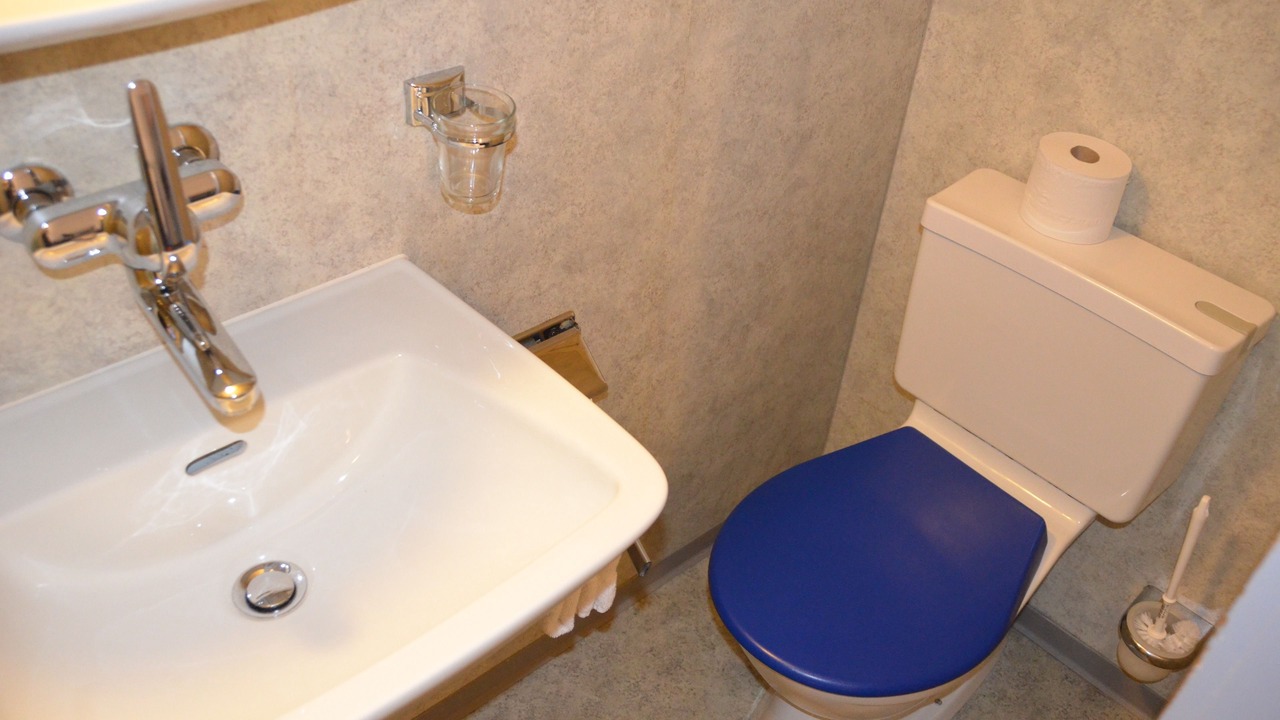 Photo of Bathroom in Schwyz