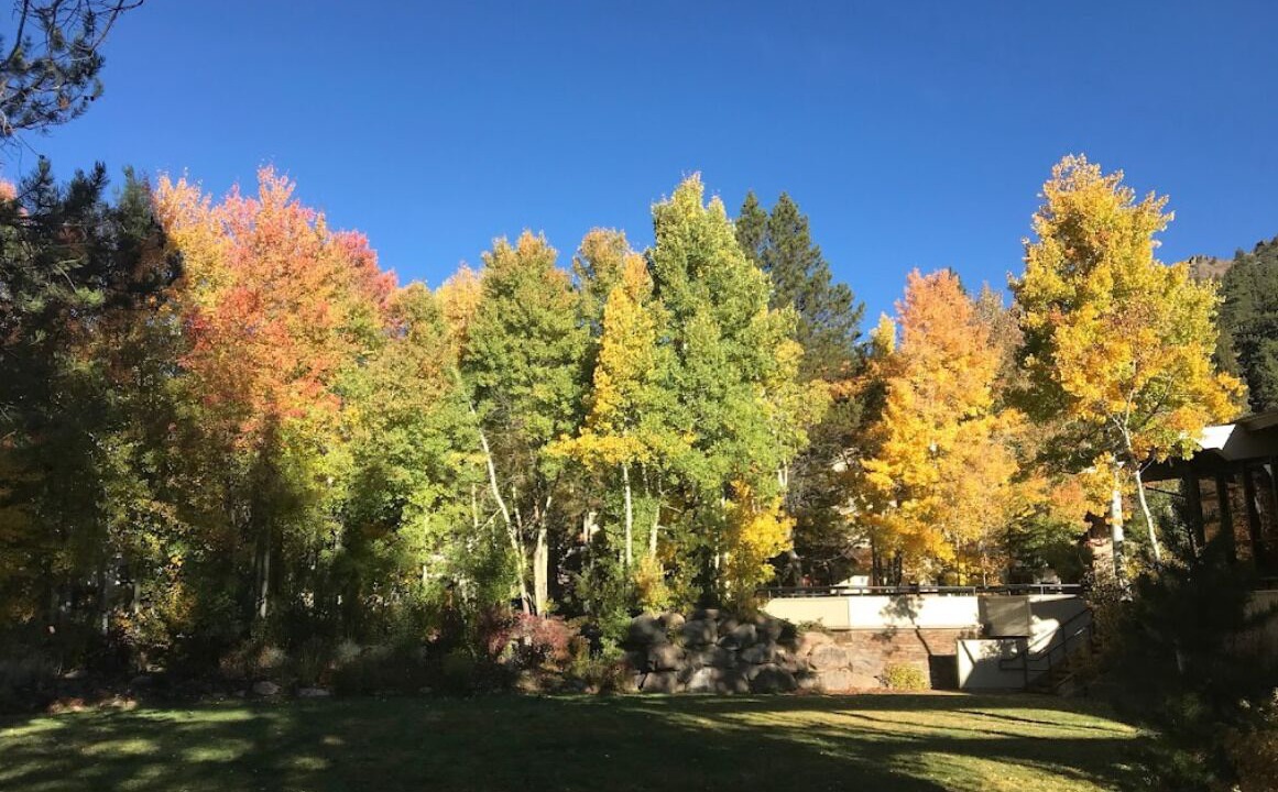 Photo of Others in Olympic Valley