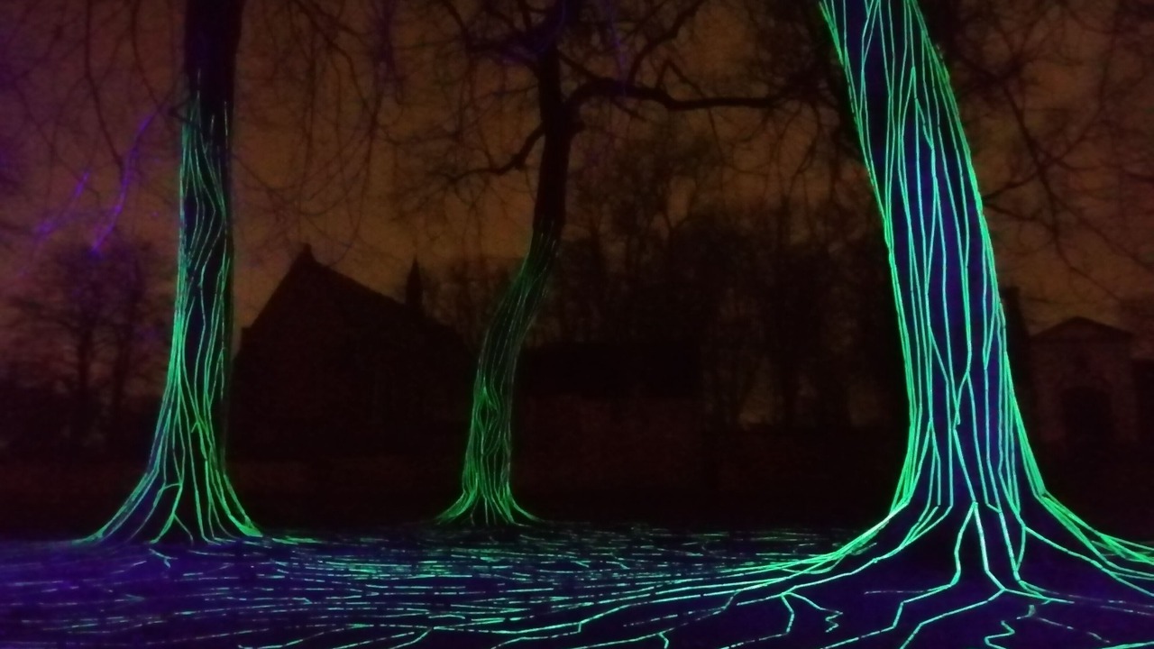 Photo of Outdoor in Sint-Michiels