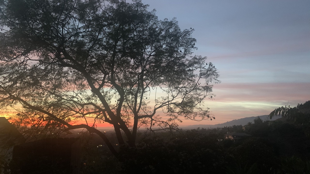 Photo of Others in Mission Canyon