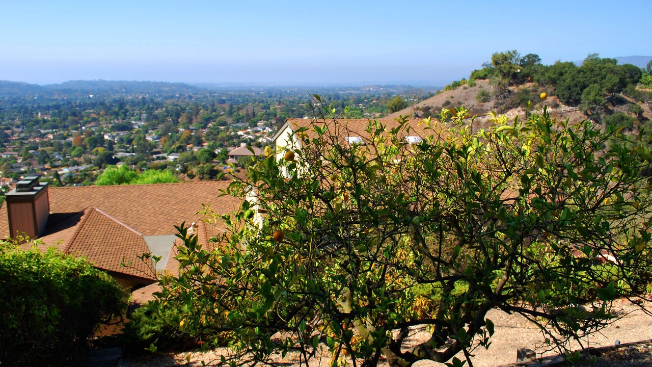 Photo of Outdoor in Mission Canyon