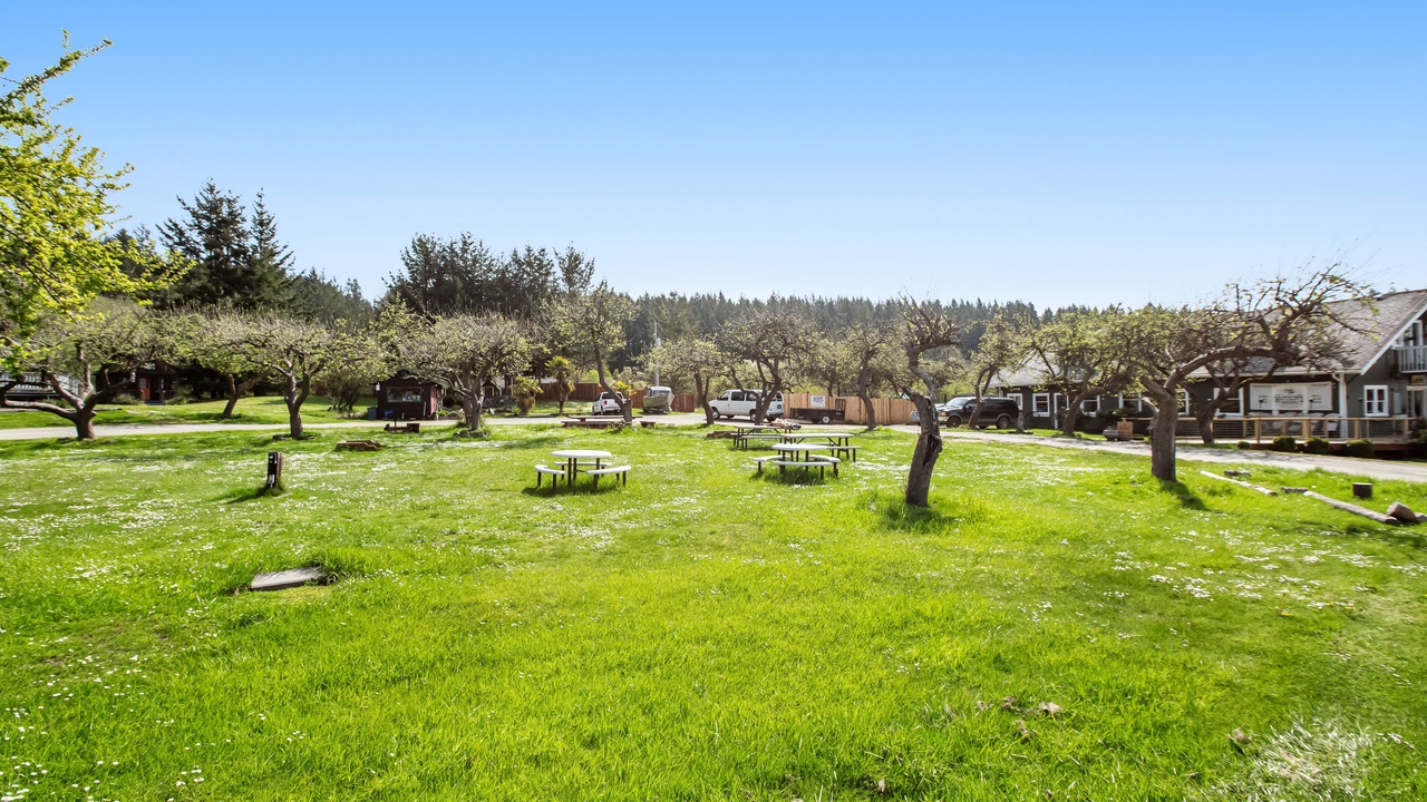 Photo of Outdoor in Deer Harbor