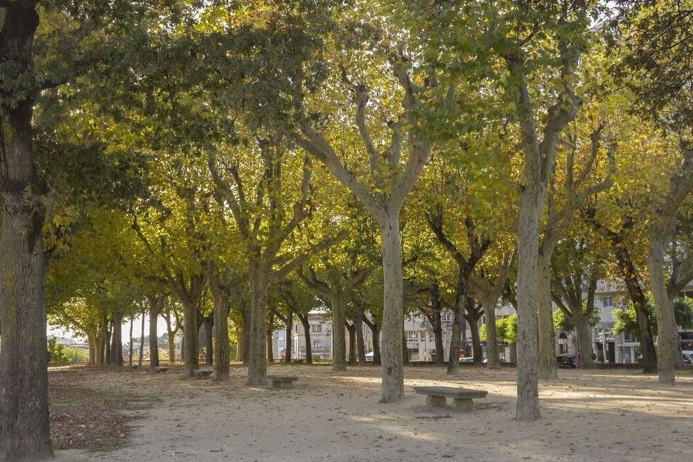 Photo of Outdoor in Pontevedra