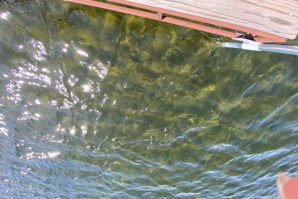 Photo of Outdoor in Battle Lake
