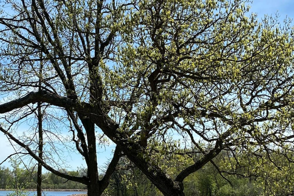 Photo of Outdoor in Battle Lake