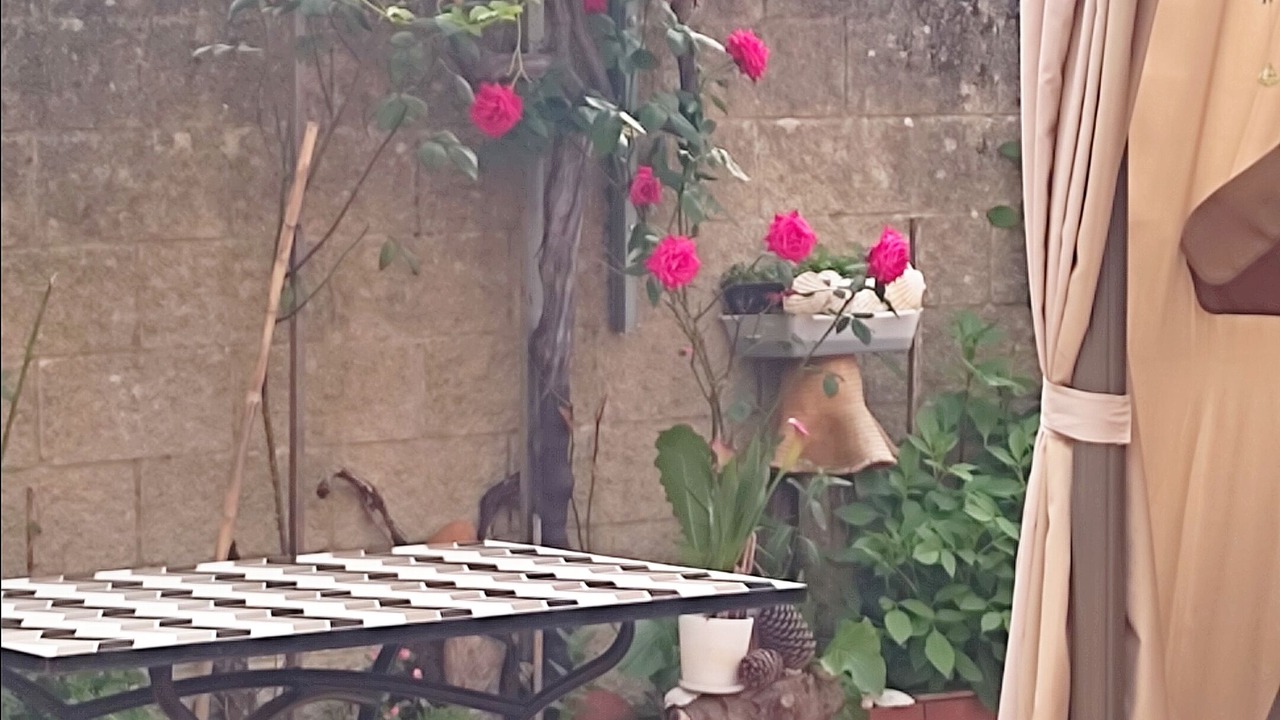 Photo of Outdoor in Bueu
